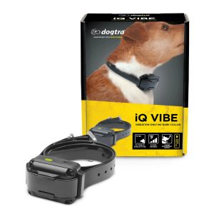 Dogtra iQ VIBE