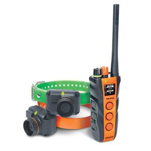 Dogtra T&B DUAL 2