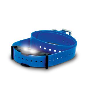 Ресивер Dogtra ARC X